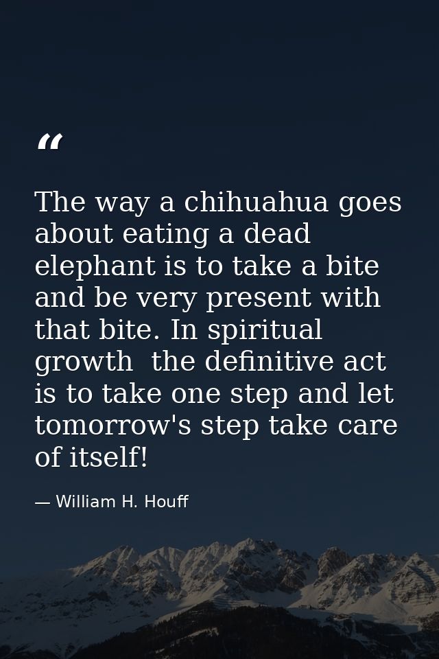 The way a chihuahua goes about eating a dead elephant is to take a bite and be very present with that bite. In spiritual — William H. Houff