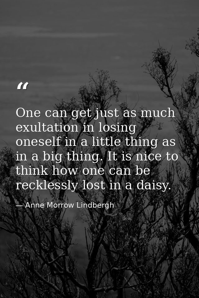 One can get just as much exultation in losing oneself in a little thing as in a big thing. It is nice to think how one c — Anne Morrow Lindbergh