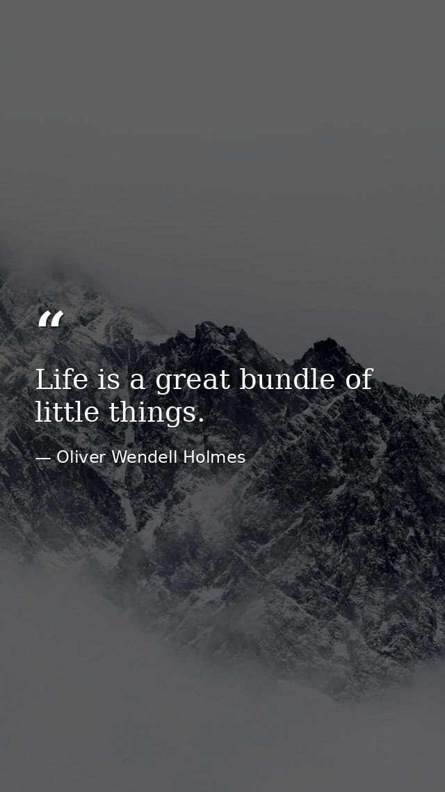 Life is a great bundle of little things. — Oliver Wendell Holmes