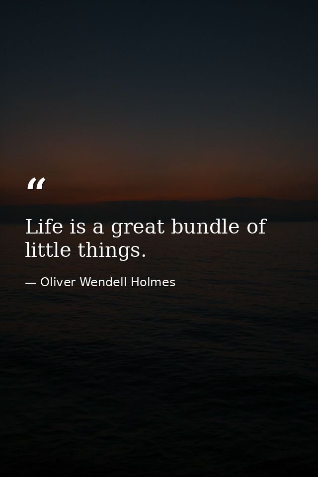 Life is a great bundle of little things. — Oliver Wendell Holmes