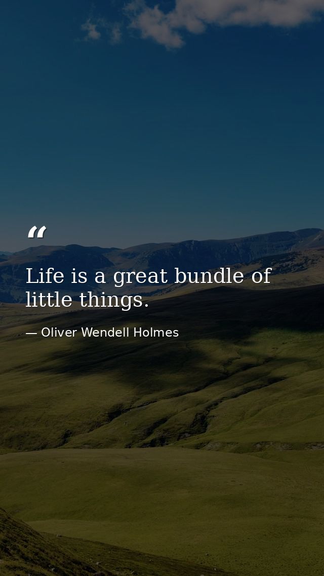 Life is a great bundle of little things. — Oliver Wendell Holmes