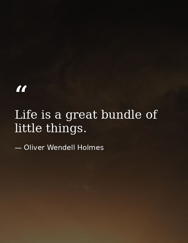 Life is a great bundle of little things. — Oliver Wendell Holmes