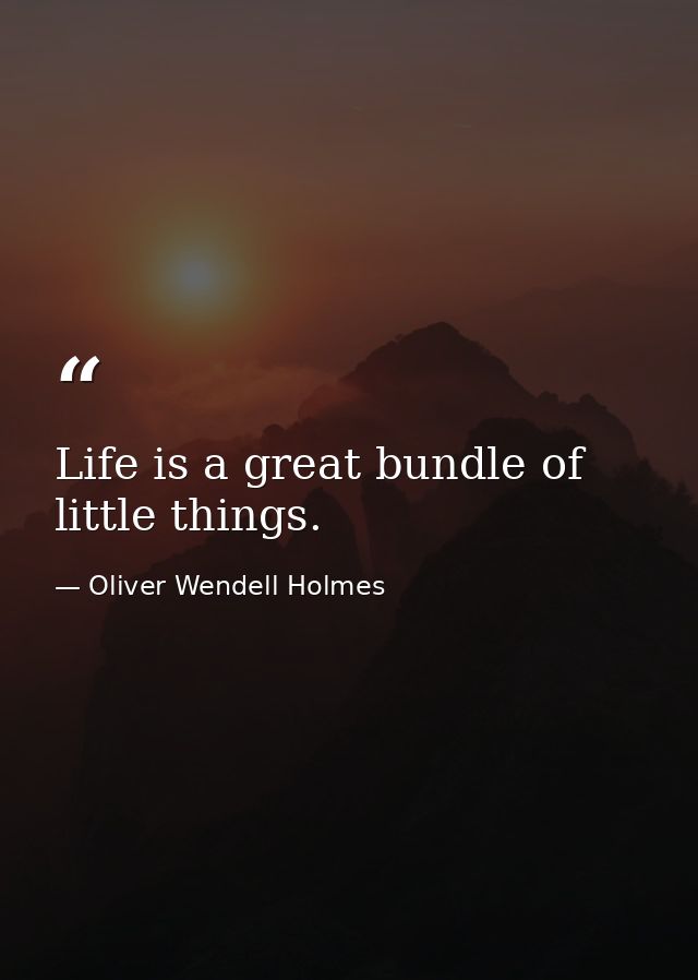 Life is a great bundle of little things. — Oliver Wendell Holmes