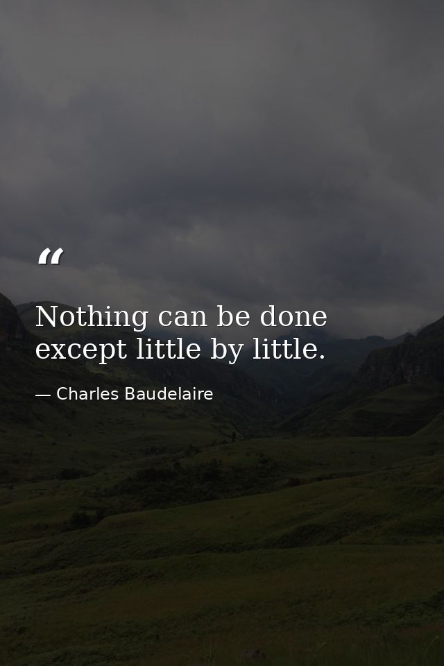 Nothing can be done except little by little. — Charles Baudelaire