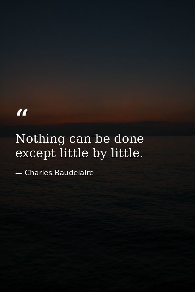 Nothing can be done except little by little. — Charles Baudelaire