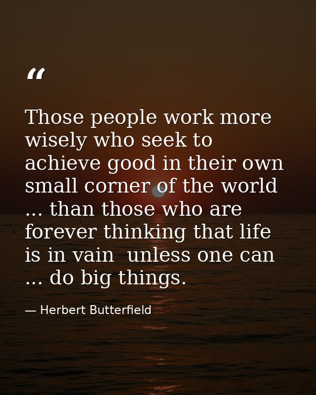 Those people work more wisely who seek to achieve good in their own small corner of the world ... than those who are for — Herbert Butterfield