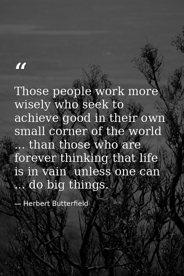Those people work more wisely who seek to achieve good in their own small corner of the world ... than those who are for — Herbert Butterfield