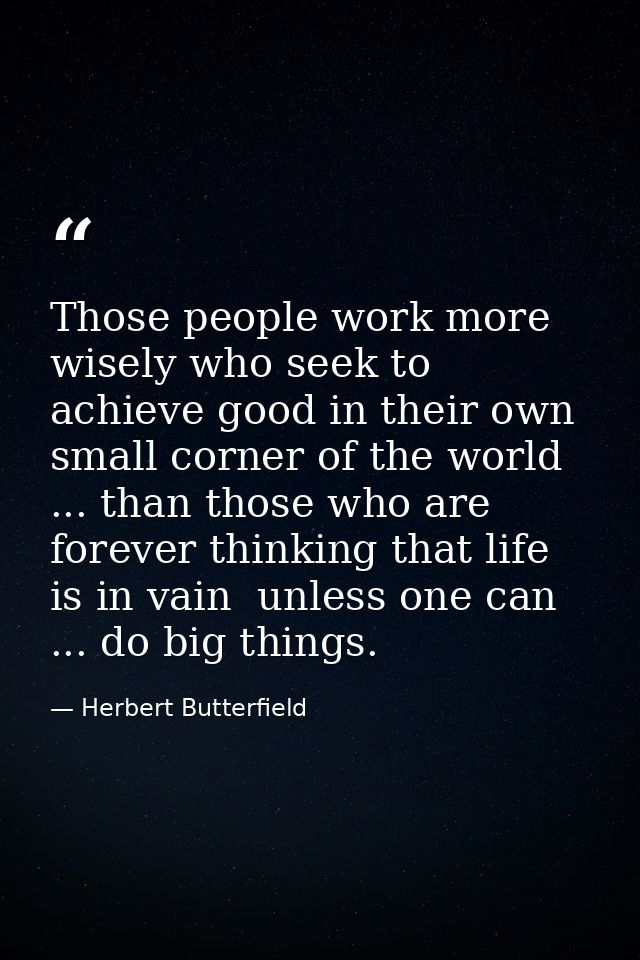 Those people work more wisely who seek to achieve good in their own small corner of the world ... than those who are for — Herbert Butterfield