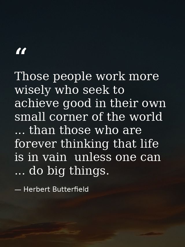 Those people work more wisely who seek to achieve good in their own small corner of the world ... than those who are for — Herbert Butterfield