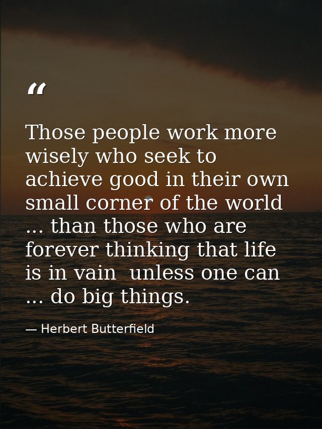 Those people work more wisely who seek to achieve good in their own small corner of the world ... than those who are for — Herbert Butterfield