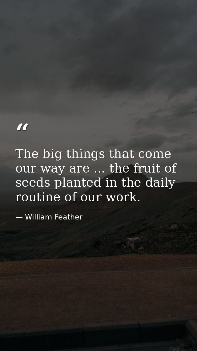 The big things that come our way are ... the fruit of seeds planted in the daily routine of our work. — William Feather