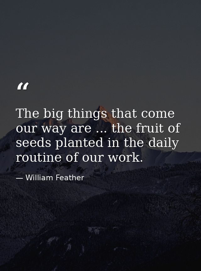 The big things that come our way are ... the fruit of seeds planted in the daily routine of our work. — William Feather