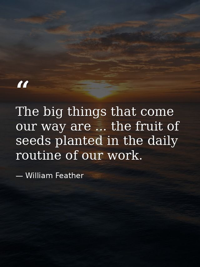 The big things that come our way are ... the fruit of seeds planted in the daily routine of our work. — William Feather