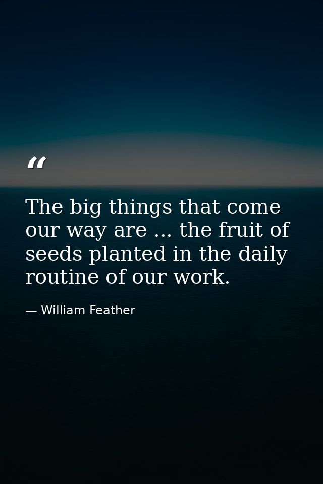 The big things that come our way are ... the fruit of seeds planted in the daily routine of our work. — William Feather