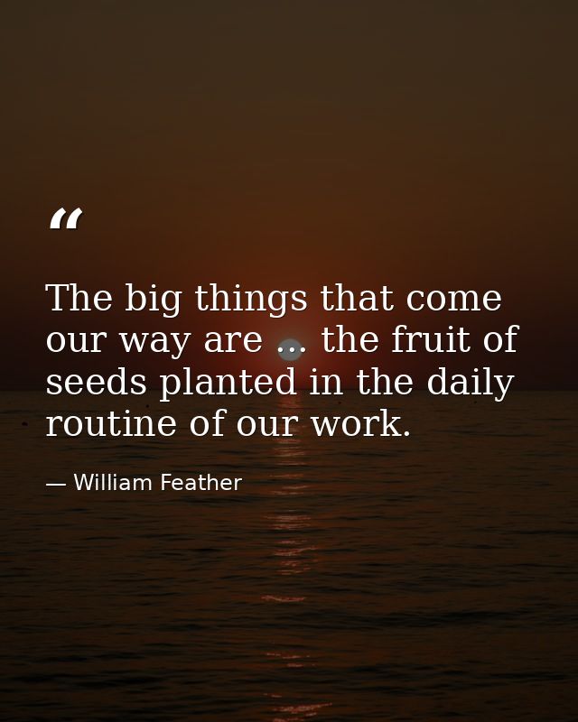 The big things that come our way are ... the fruit of seeds planted in the daily routine of our work. — William Feather