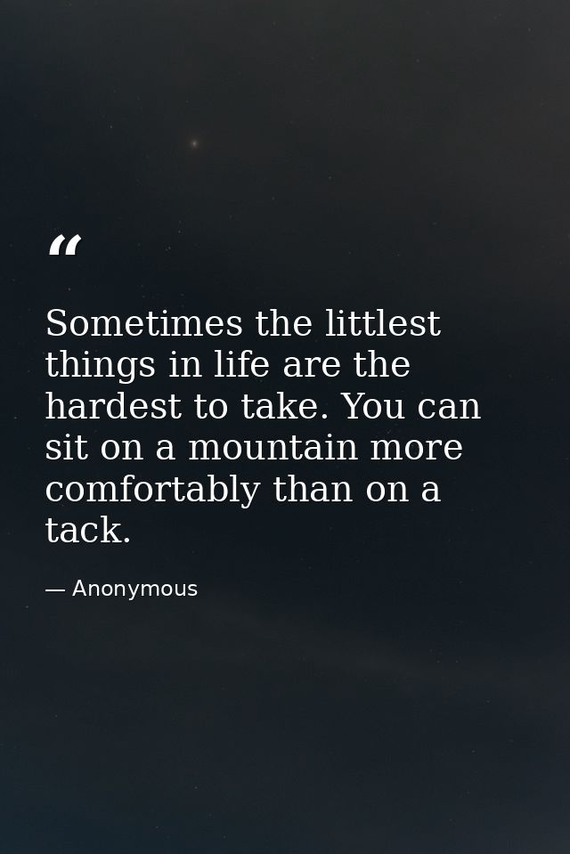 Sometimes the littlest things in life are the hardest to take. You can sit on a mountain more comfortably than on a tack — Anonymous