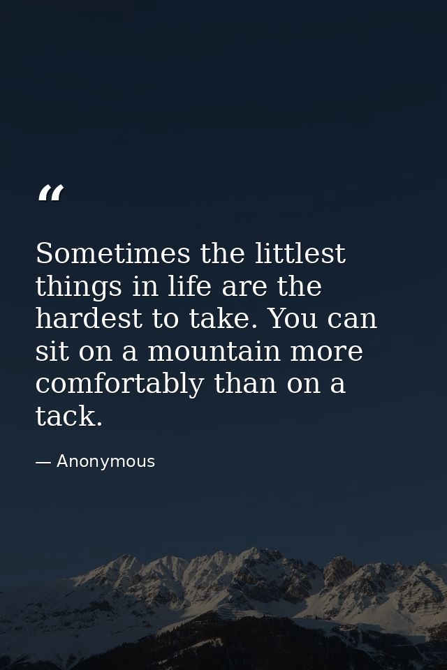 Sometimes the littlest things in life are the hardest to take. You can sit on a mountain more comfortably than on a tack — Anonymous