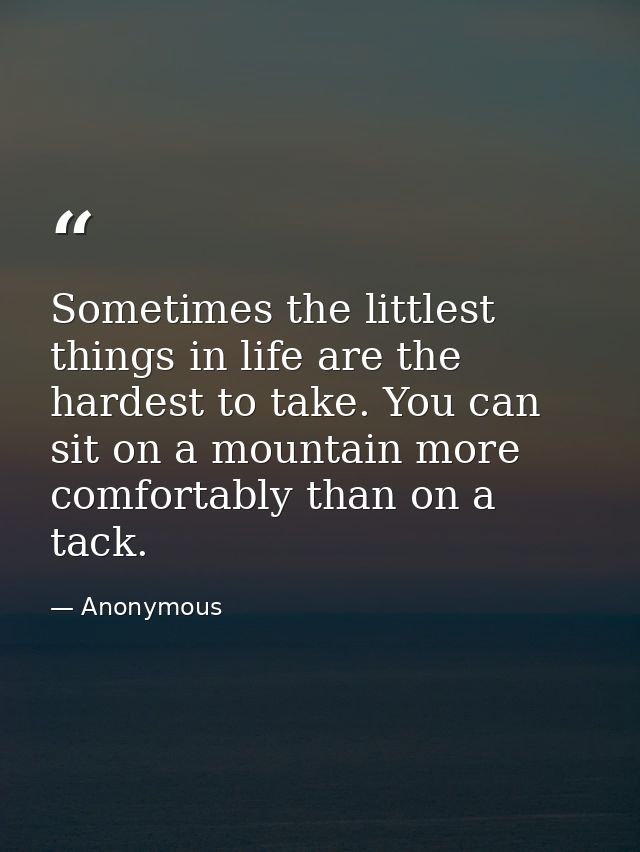 Sometimes the littlest things in life are the hardest to take. You can sit on a mountain more comfortably than on a tack — Anonymous