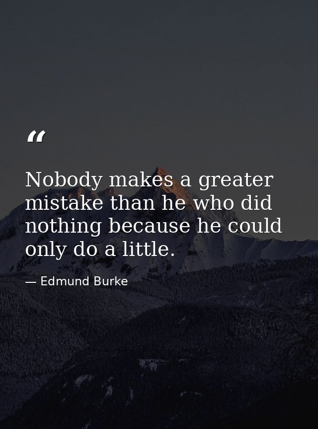 Nobody makes a greater mistake than he who did nothing because he could only do a little. — Edmund Burke