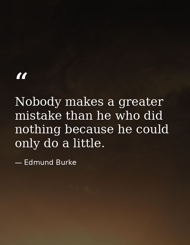 Nobody makes a greater mistake than he who did nothing because he could only do a little. — Edmund Burke
