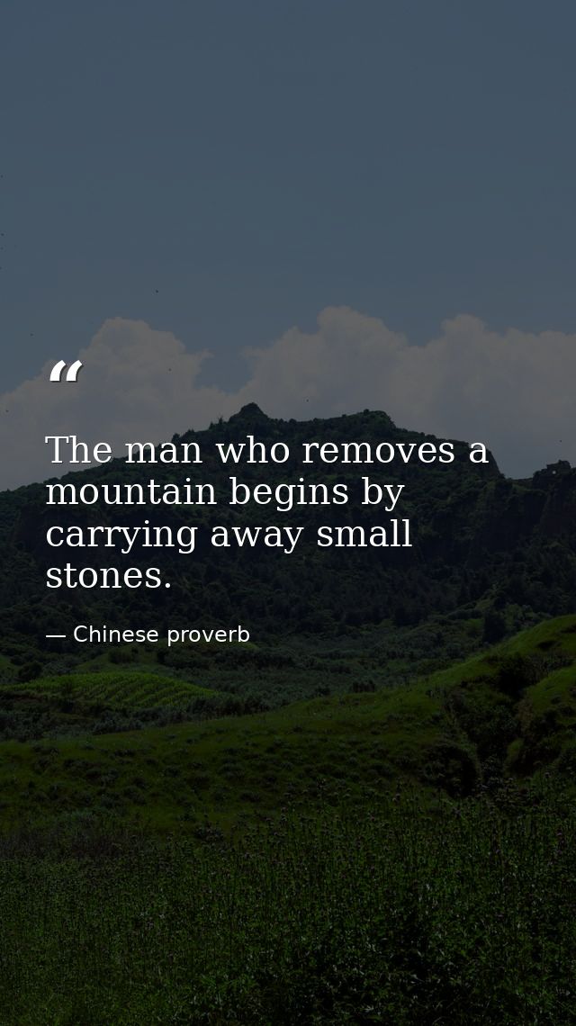 The man who removes a mountain begins by carrying away small stones. — Chinese proverb