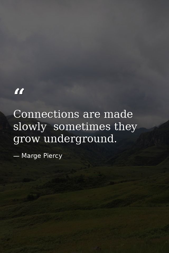 Connections are made slowly  sometimes they grow underground. — Marge Piercy