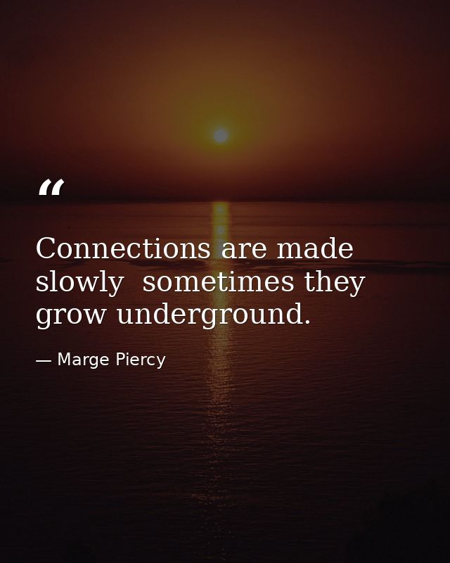 Connections are made slowly  sometimes they grow underground. — Marge Piercy