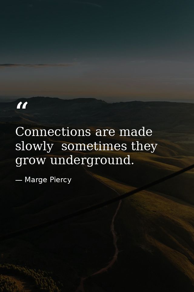 Connections are made slowly  sometimes they grow underground. — Marge Piercy