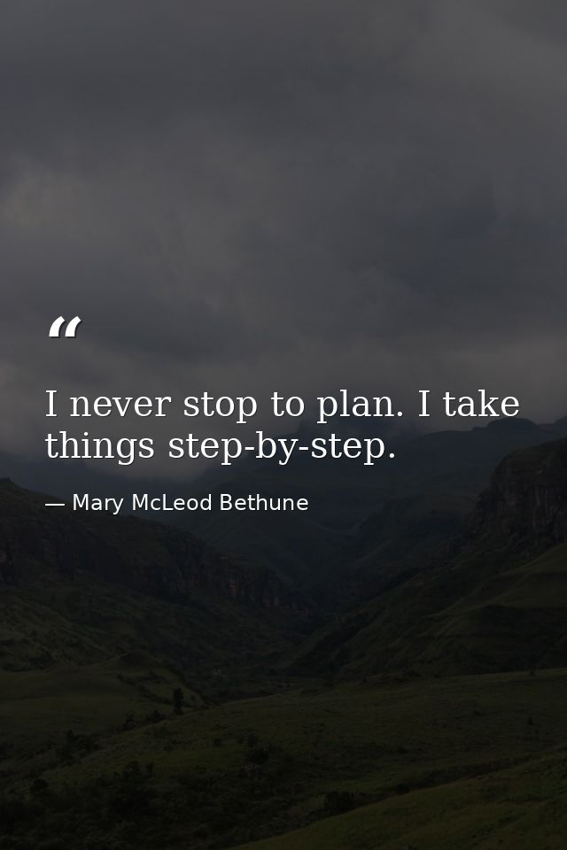 I never stop to plan. I take things step-by-step. — Mary McLeod Bethune