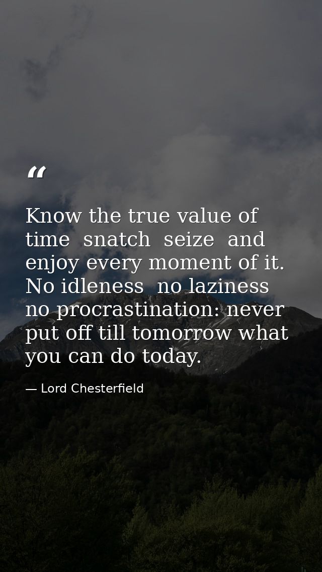 Know the true value of time  snatch  seize  and enjoy every moment of it. No idleness  no laziness  no procrastination:  — Lord Chesterfield