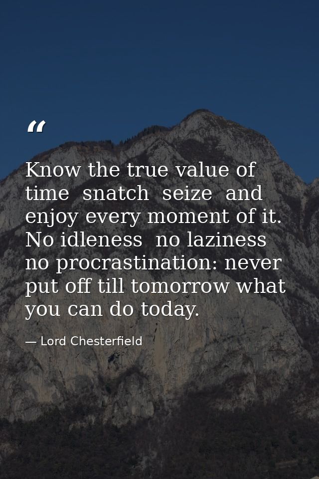 Know the true value of time  snatch  seize  and enjoy every moment of it. No idleness  no laziness  no procrastination:  — Lord Chesterfield