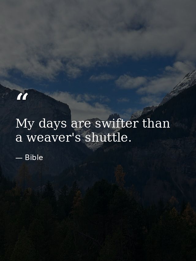 My days are swifter than a weaver's shuttle. — Bible