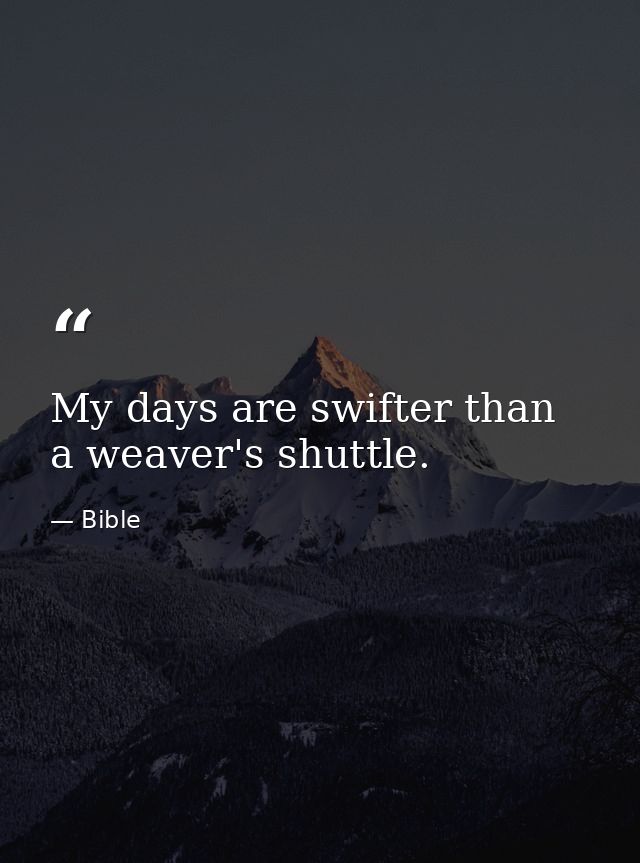 My days are swifter than a weaver's shuttle. — Bible