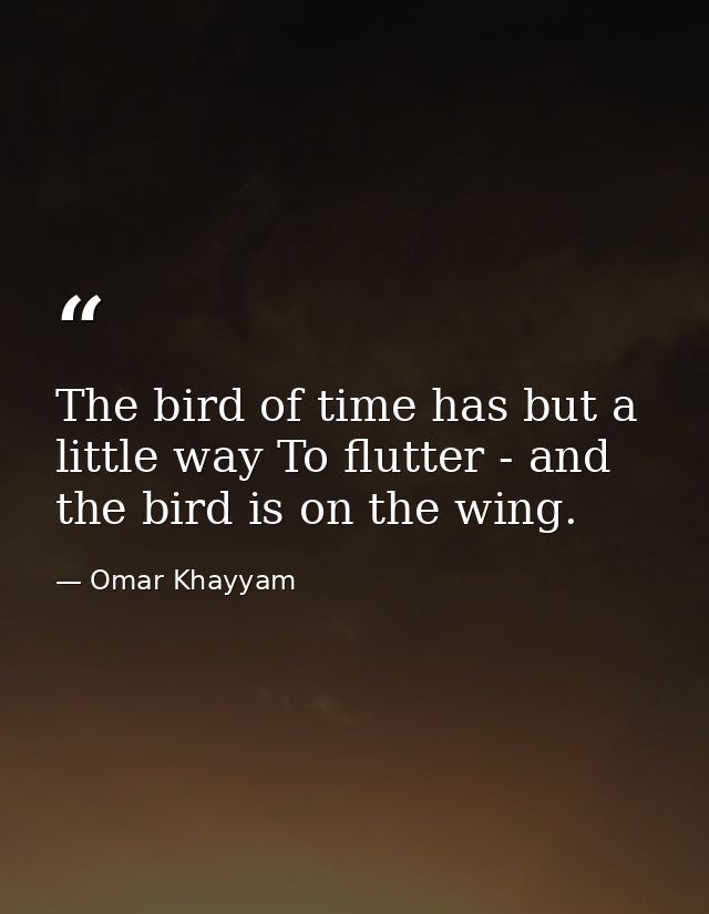 The bird of time has but a little way To flutter - and the bird is on the wing. — Omar Khayyam
