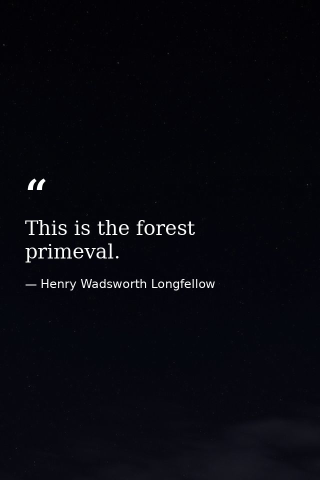This is the forest primeval. — Henry Wadsworth Longfellow
