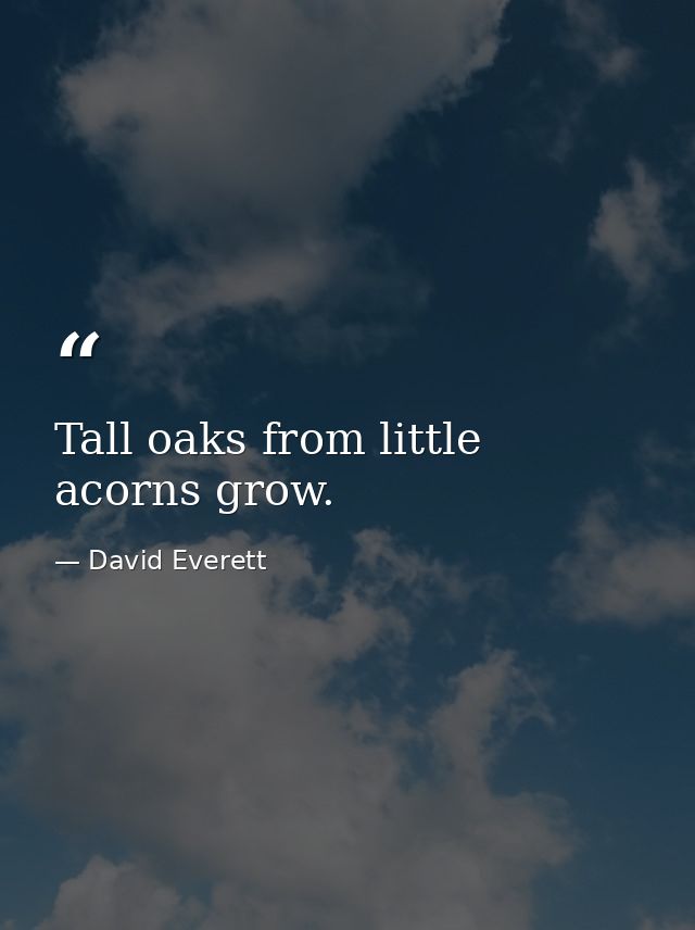 Tall oaks from little acorns grow. — David Everett
