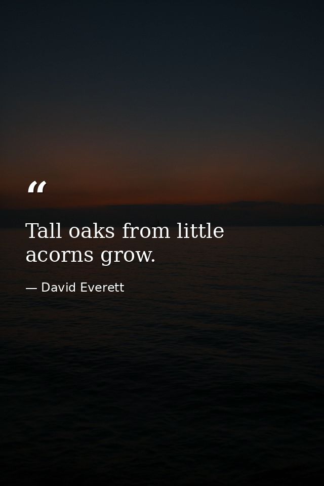 Tall oaks from little acorns grow. — David Everett