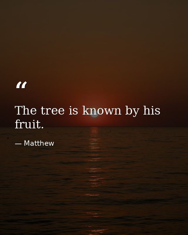 The tree is known by his fruit. — Matthew