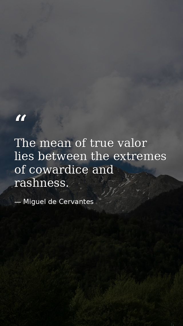 The mean of true valor lies between the extremes of cowardice and rashness. — Miguel de Cervantes