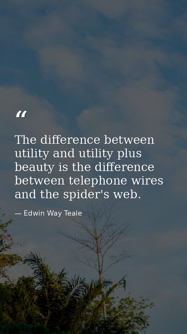 The difference between utility and utility plus beauty is the difference between telephone wires and the spider's web. — Edwin Way Teale