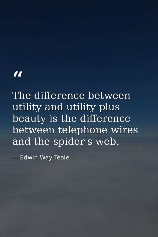 The difference between utility and utility plus beauty is the difference between telephone wires and the spider's web. — Edwin Way Teale