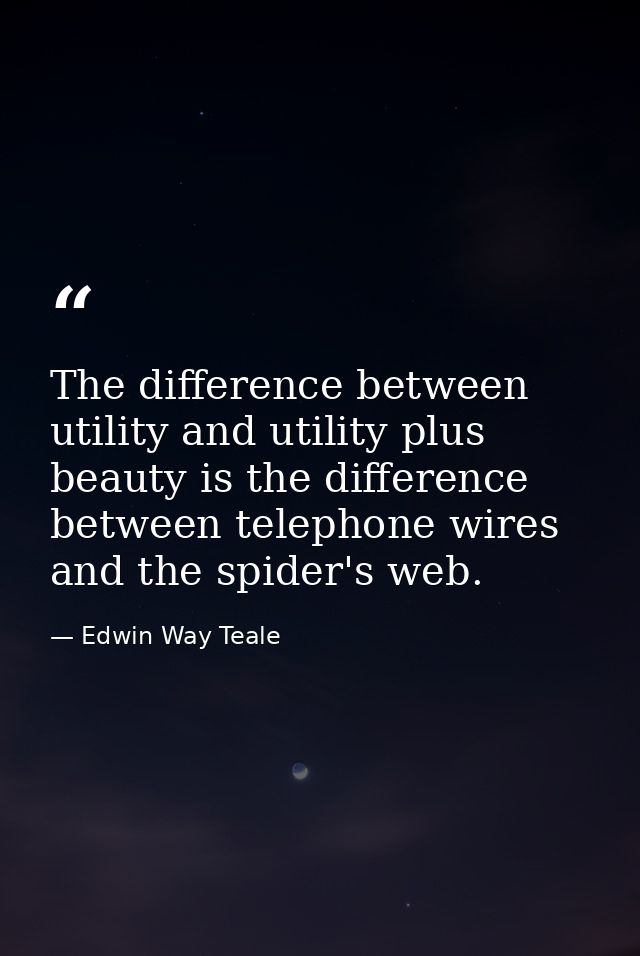 The difference between utility and utility plus beauty is the difference between telephone wires and the spider's web. — Edwin Way Teale