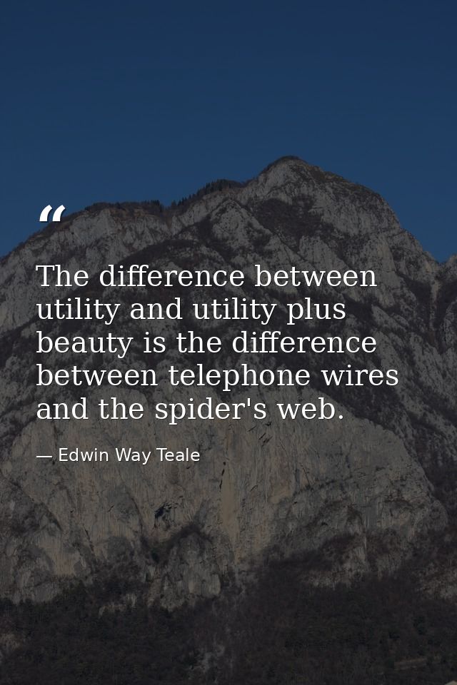 The difference between utility and utility plus beauty is the difference between telephone wires and the spider's web. — Edwin Way Teale