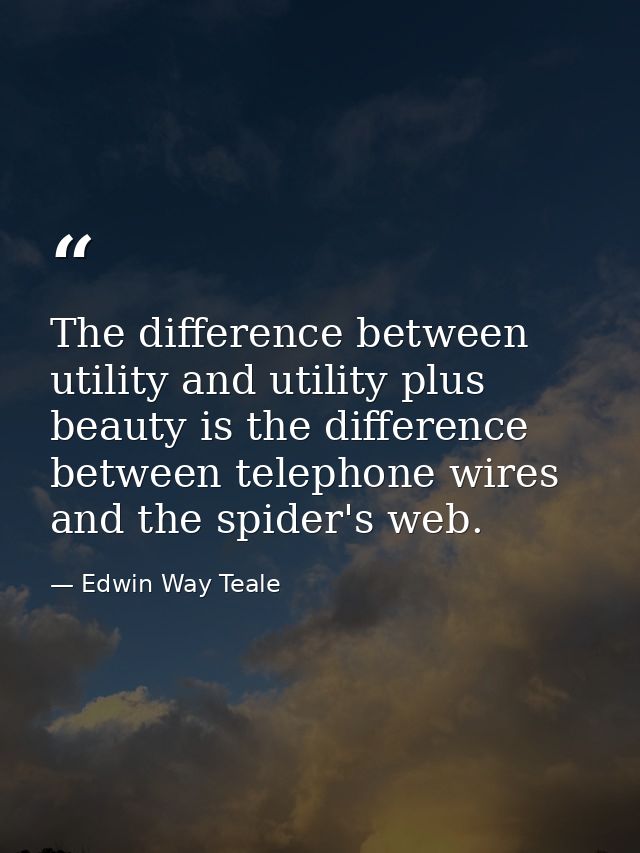 The difference between utility and utility plus beauty is the difference between telephone wires and the spider's web. — Edwin Way Teale
