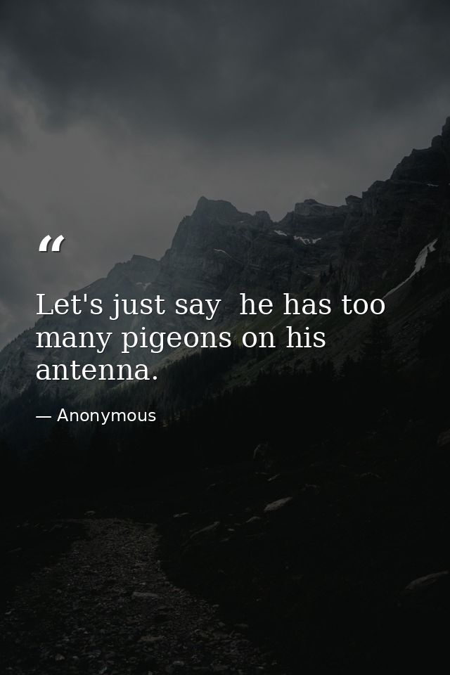 Let's just say  he has too many pigeons on his antenna. — Anonymous