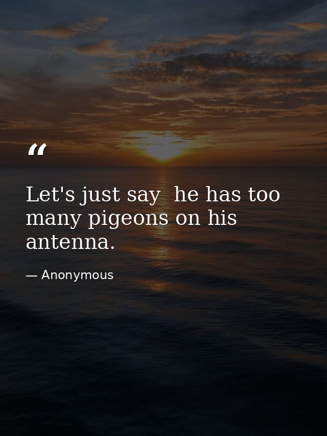 Let's just say  he has too many pigeons on his antenna. — Anonymous