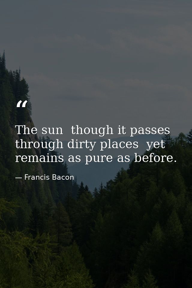 The sun  though it passes through dirty places  yet remains as pure as before. — Francis Bacon