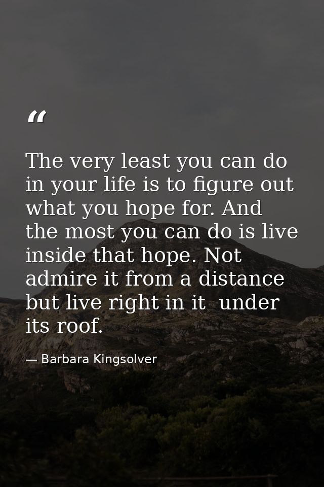 The very least you can do in your life is to figure out what you hope for. And the most you can do is live inside that h — Barbara Kingsolver