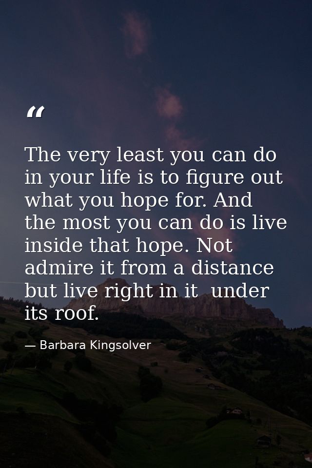 The very least you can do in your life is to figure out what you hope for. And the most you can do is live inside that h — Barbara Kingsolver