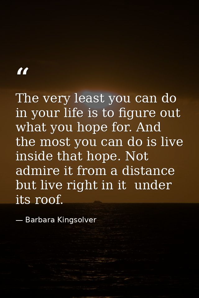 The very least you can do in your life is to figure out what you hope for. And the most you can do is live inside that h — Barbara Kingsolver